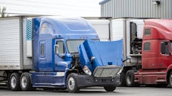 658c54e791f03b001df923be Dreamstime L 162457904 658c54e791f03b001df923be Dreamstime L 162457904