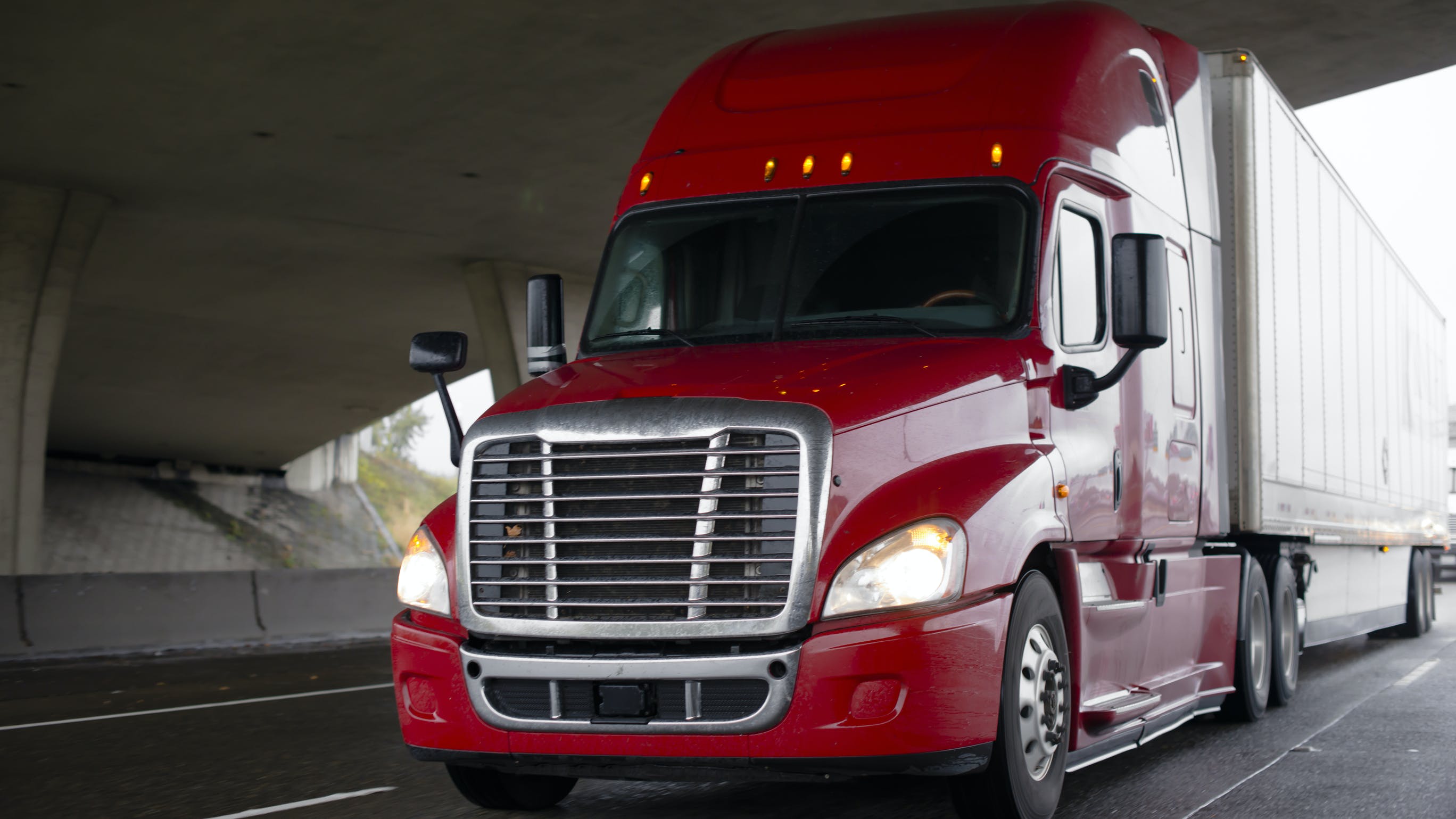 659c209fe8bcda001e65f4be Dreamstime L 113203401