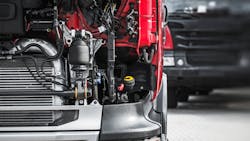 65b7aab766726f001e374c28 Dreamstime Xl 110203491 65b7aab766726f001e374c28 Dreamstime Xl 110203491