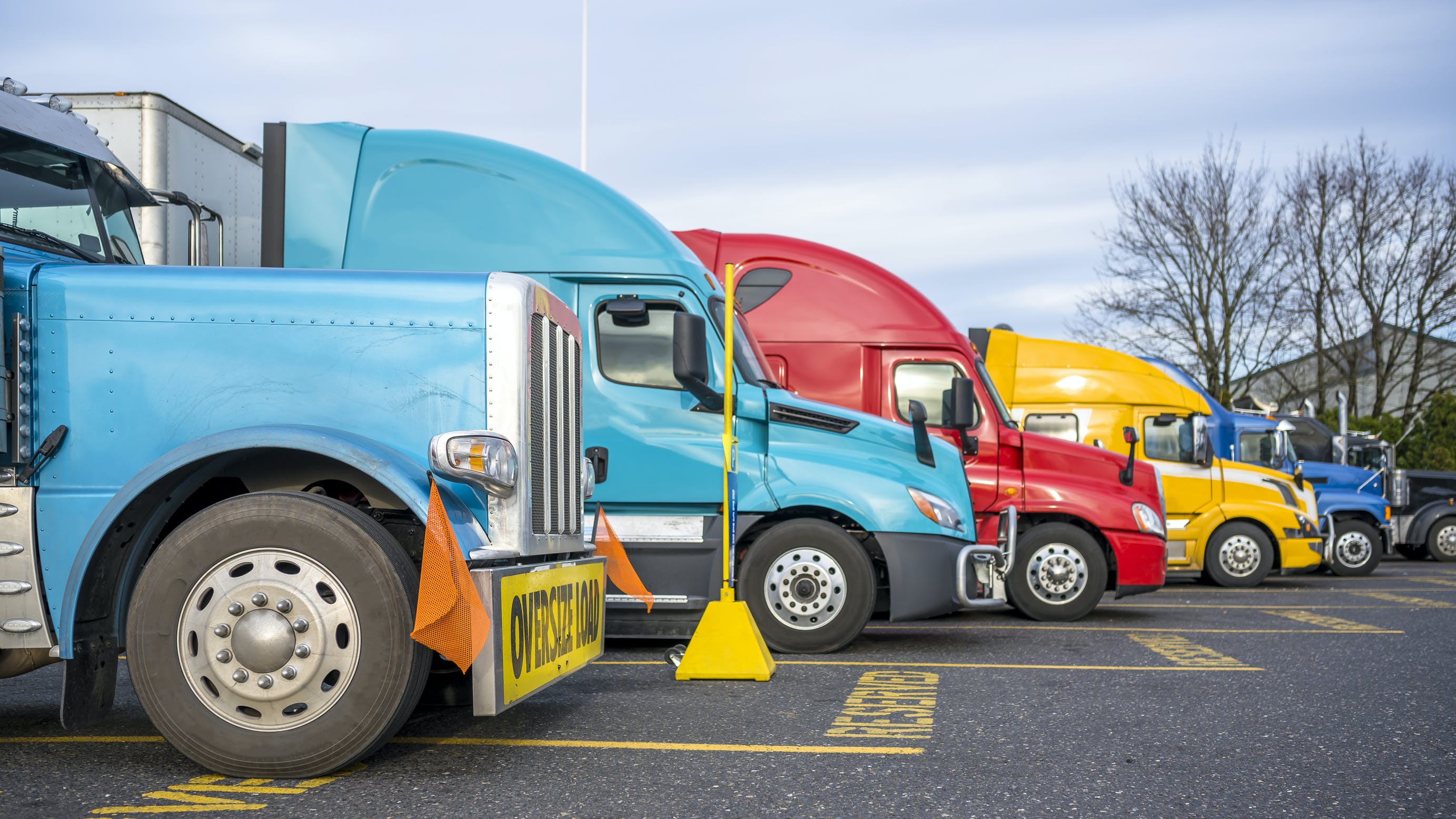 65ba5dcad7f485001e2ca8ba Dreamstime L 177079206