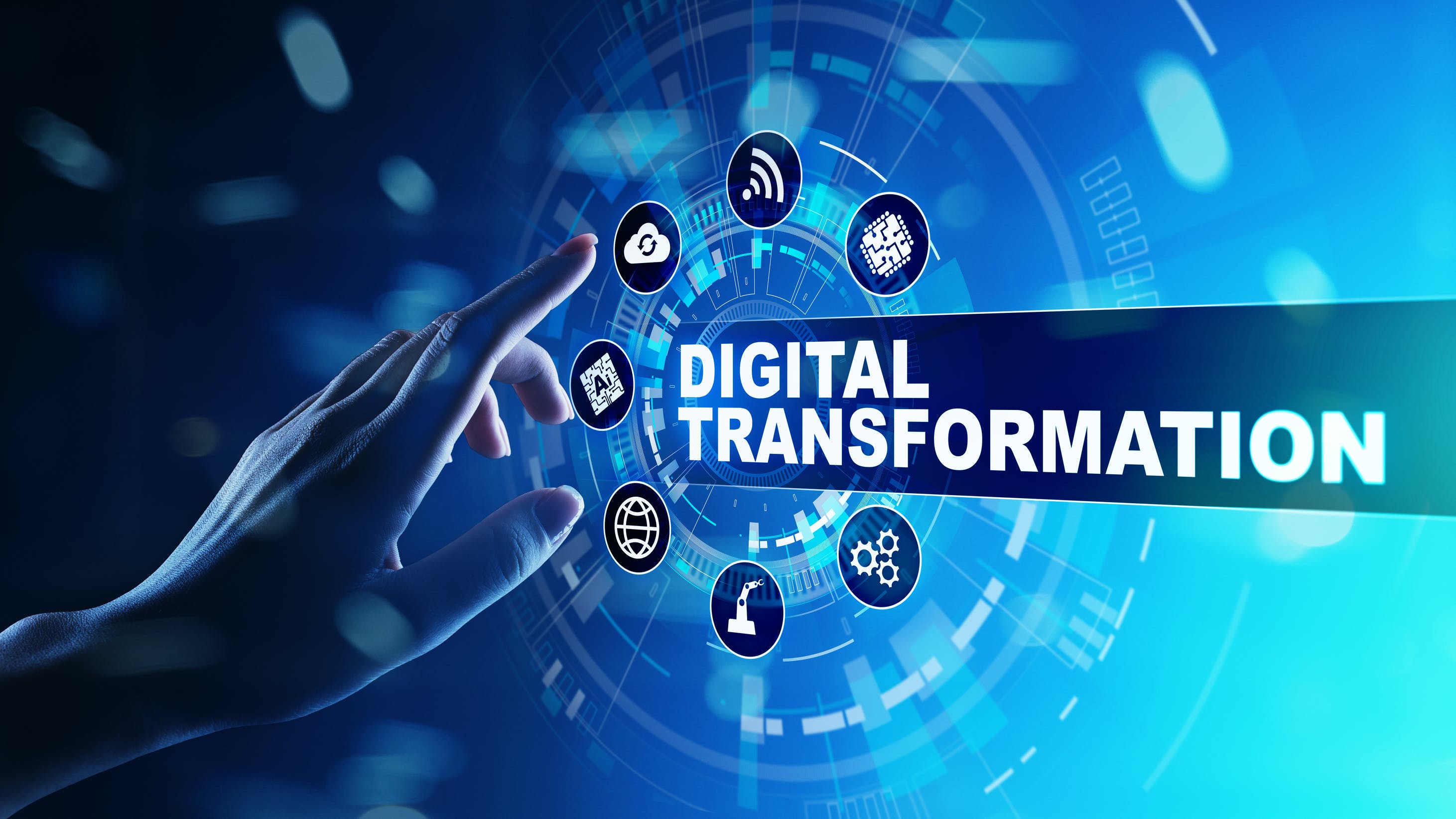 65bba680af0688001e0833ce Dreamstime L 135034188