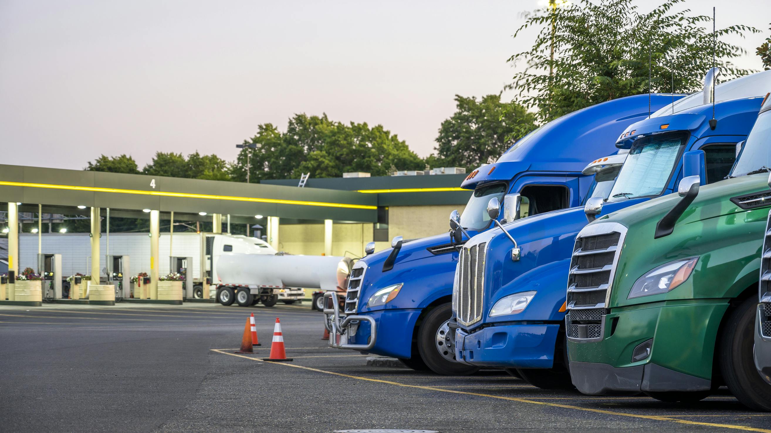 65ca8599128bca001e66065c Dreamstime L 157624452