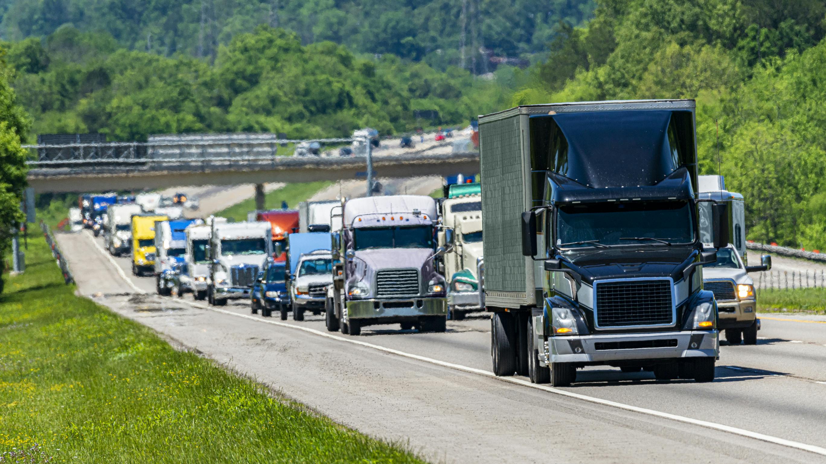 65cf8a7653c095001e5142b4 Dreamstime L 168655792