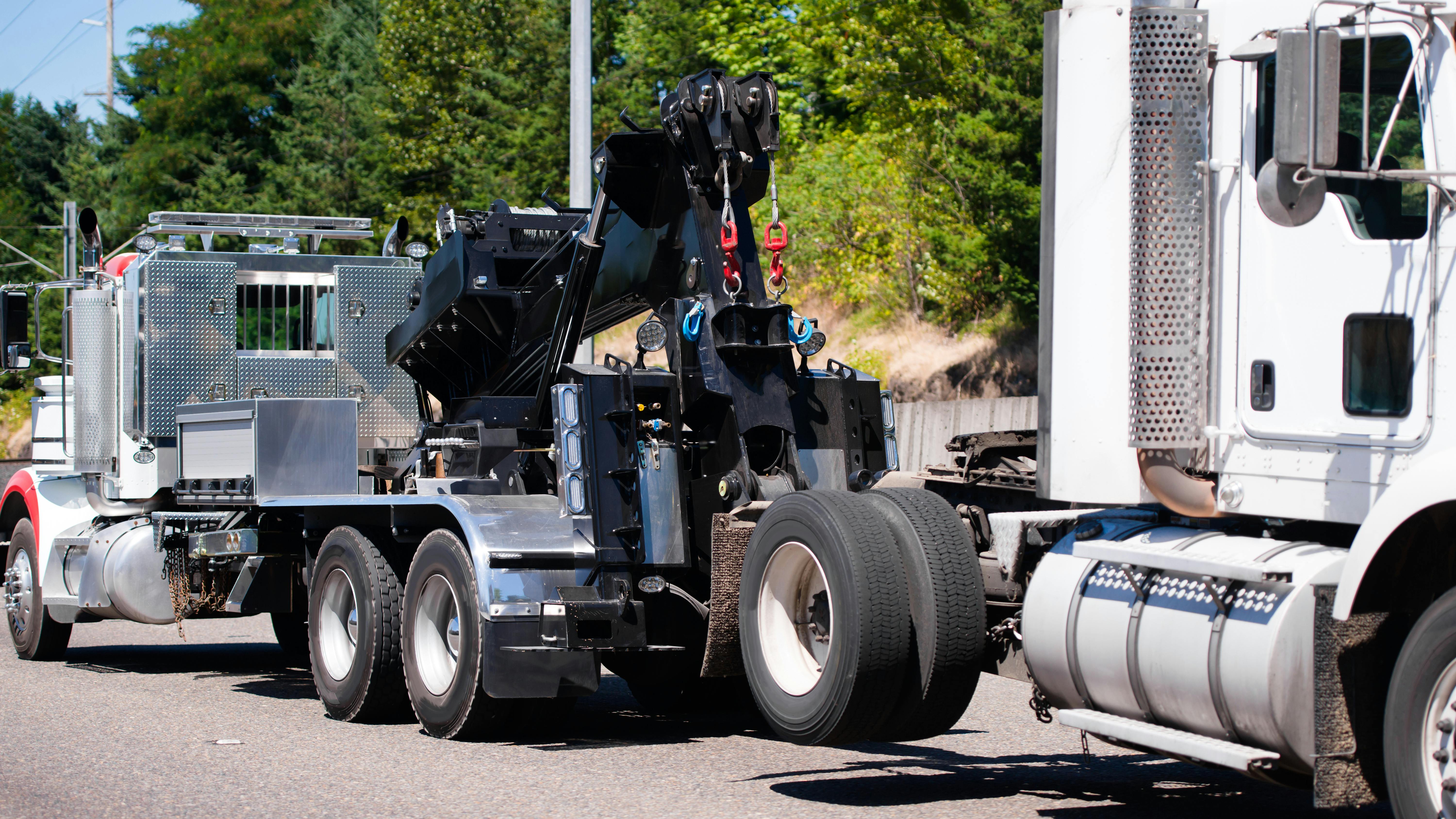 662966fe30b8db001ecf50c2 Dreamstime Xxl 100318988