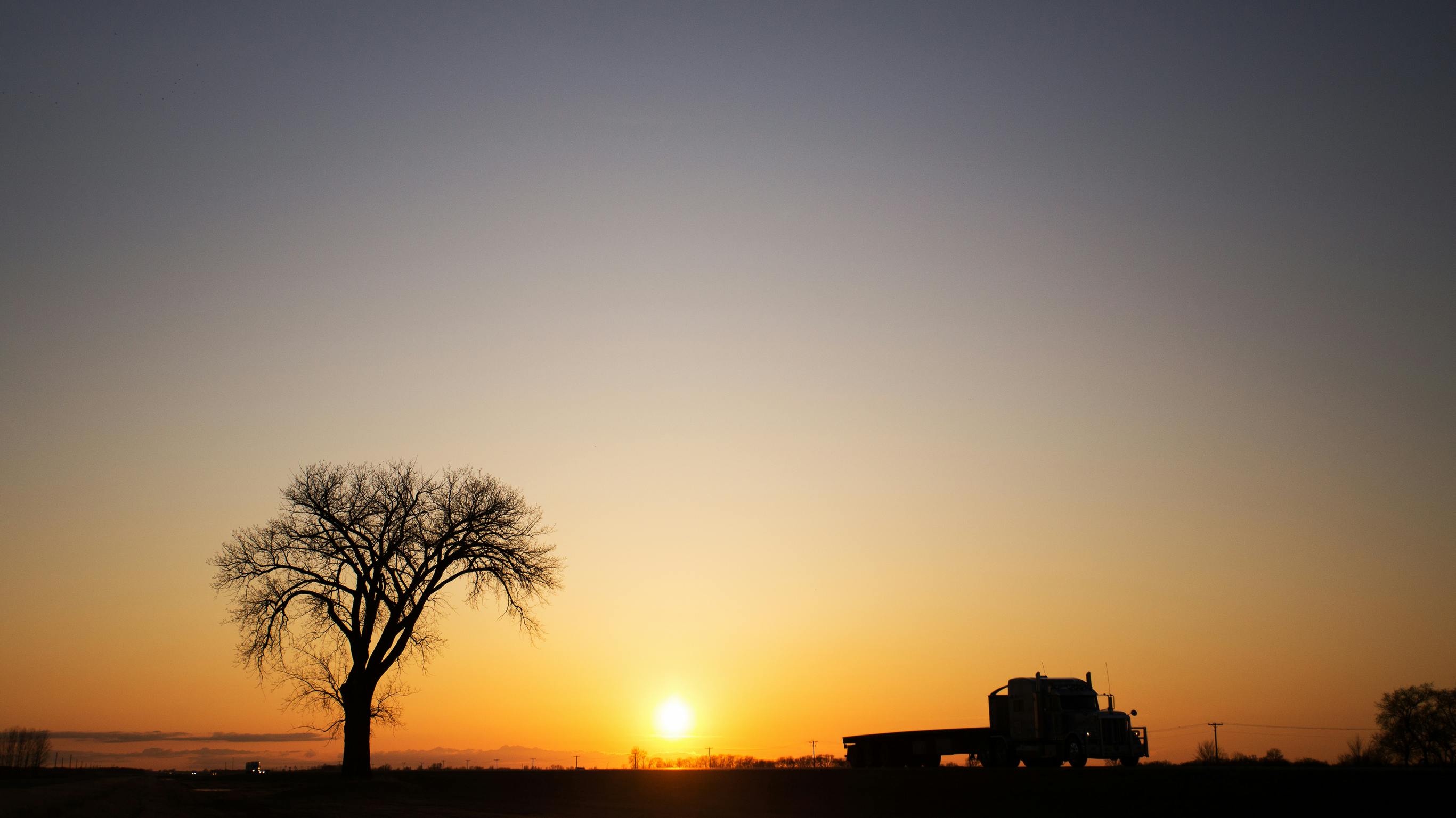 How can HR and management mitigate the impact of loneliness?