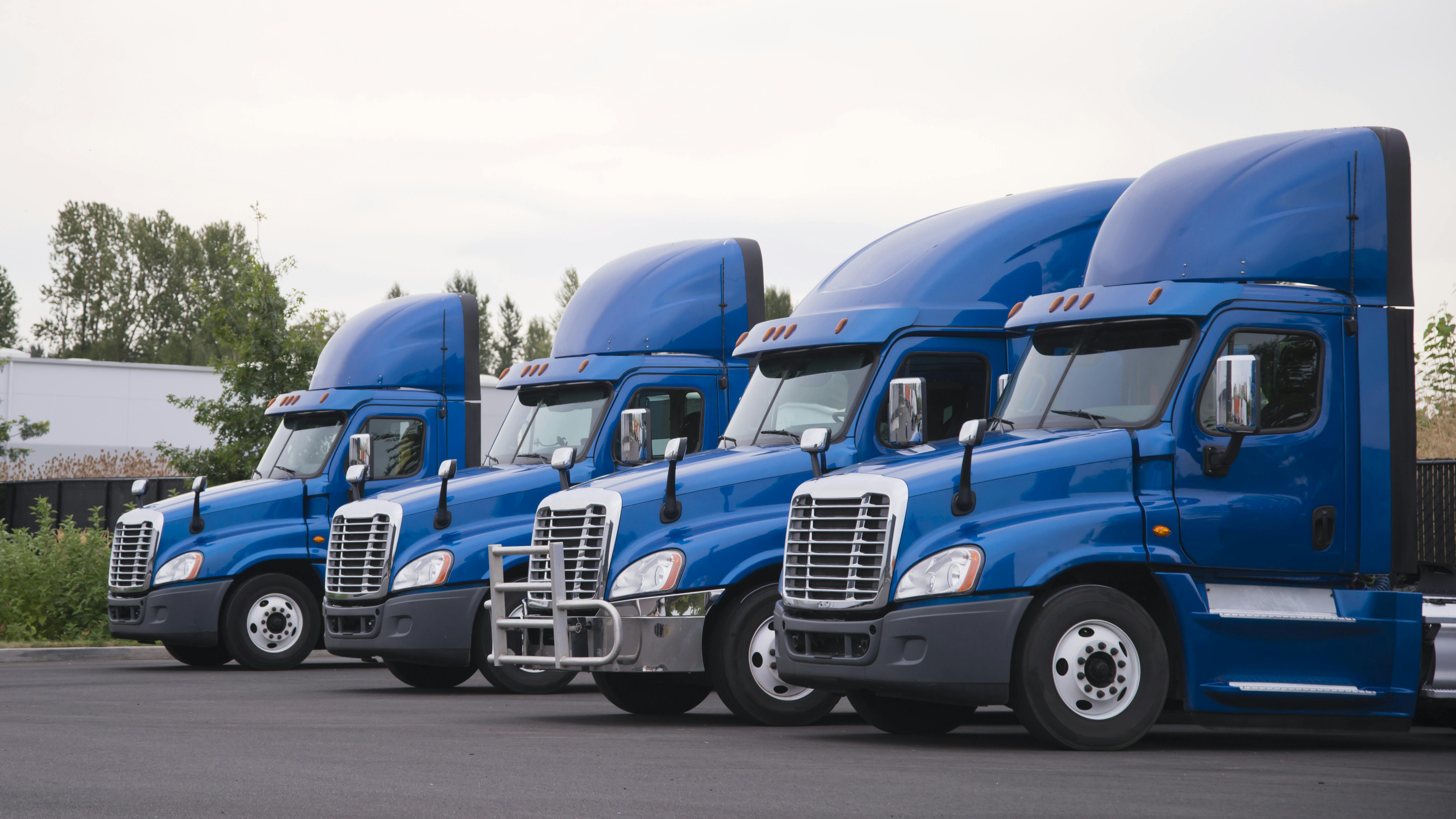 663a5a38ce4173265e794a29 Dreamstime Xxl 132053406