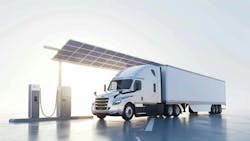 6661d19ef14d8376675a9db4 Dreamstime L 313685692 6661d19ef14d8376675a9db4 Dreamstime L 313685692