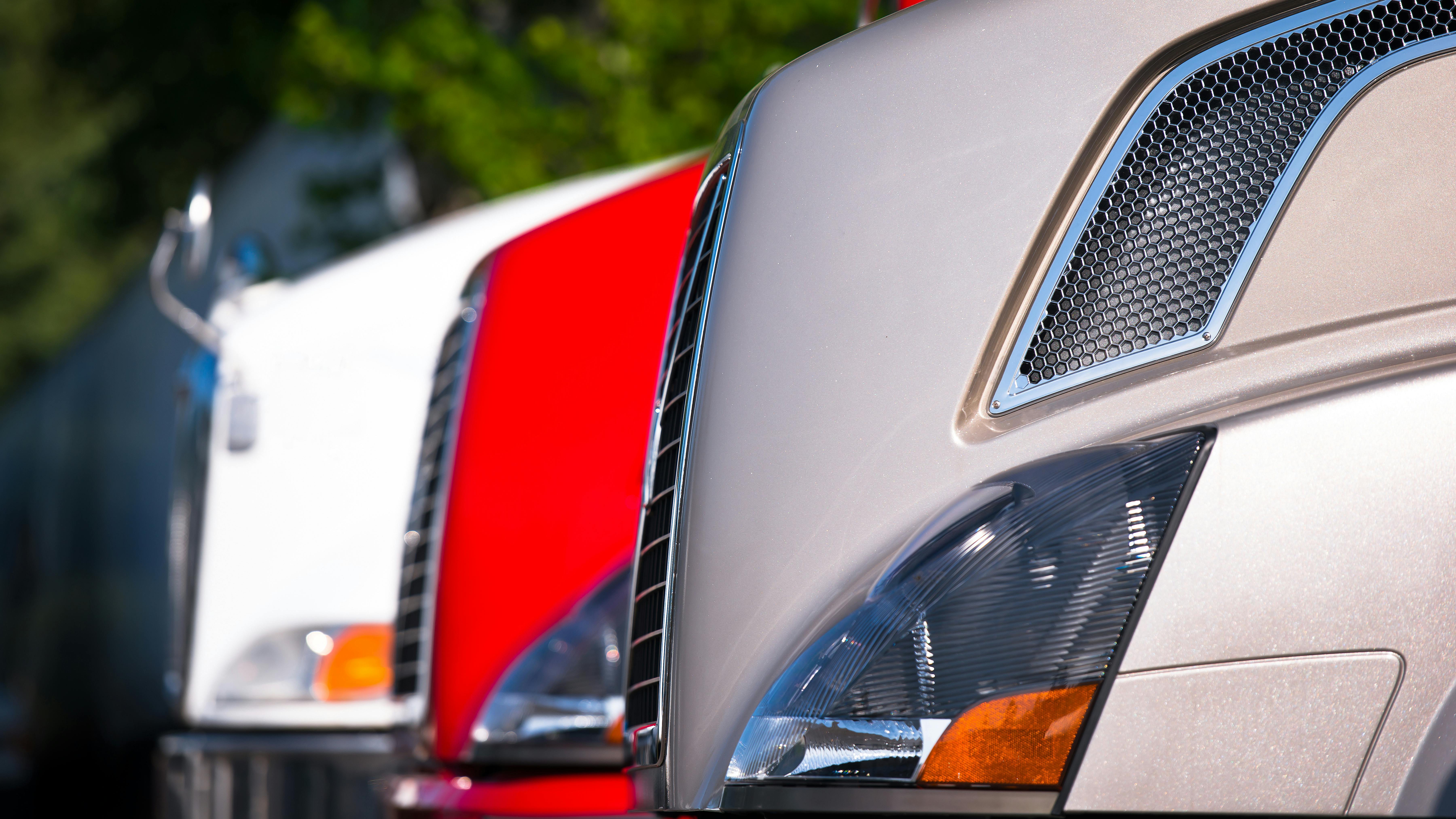 66686cd94df637faf4724a74 Dreamstime Xxl 40959311