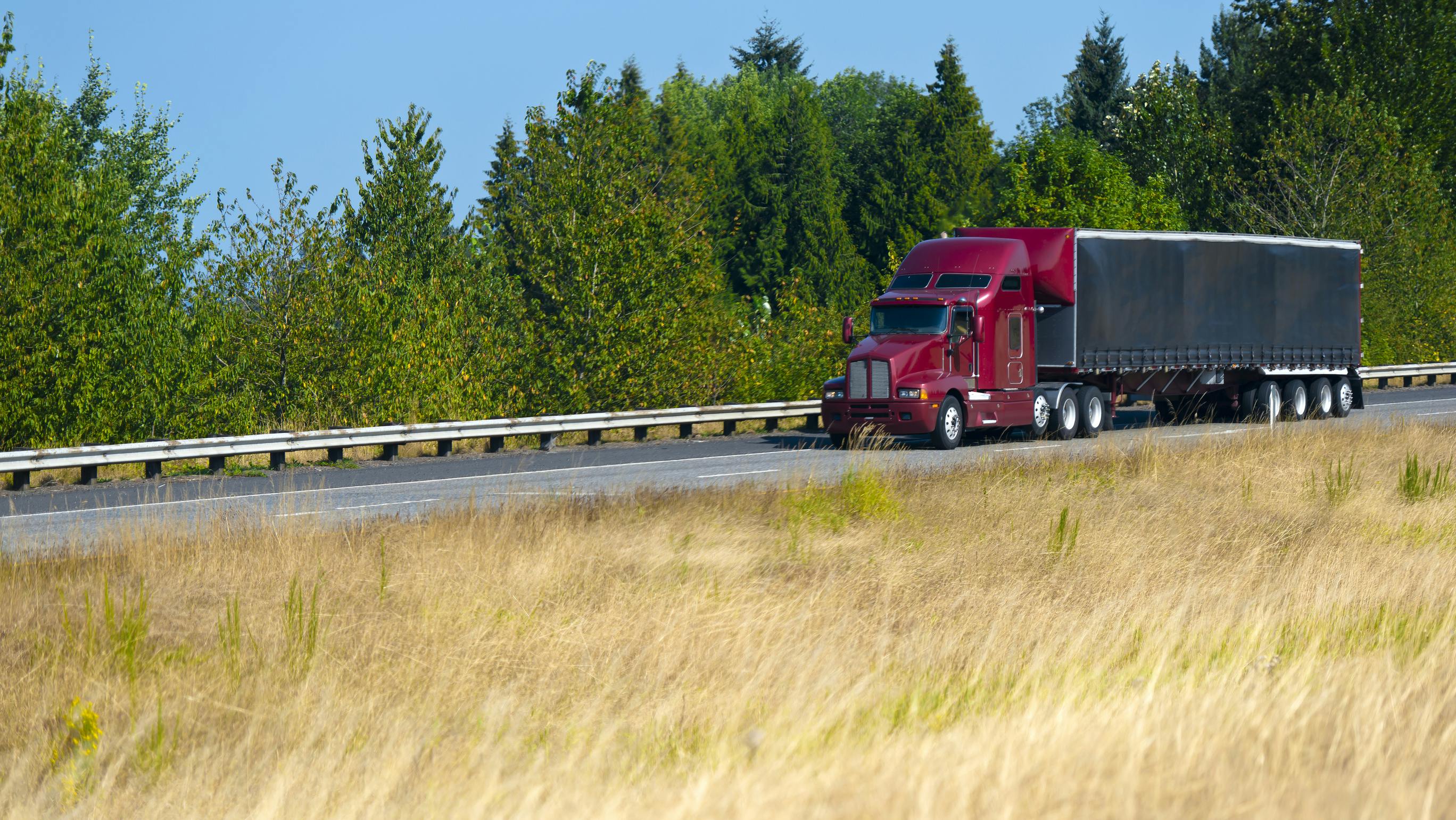 6679bf568505d82cf075775a Dreamstime L 45965416