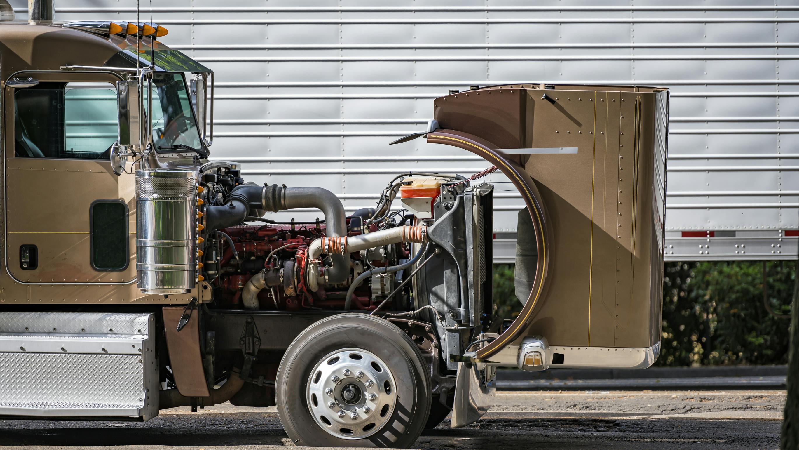 6682ae8e329525121f901ae5 Dreamstime L 202349214