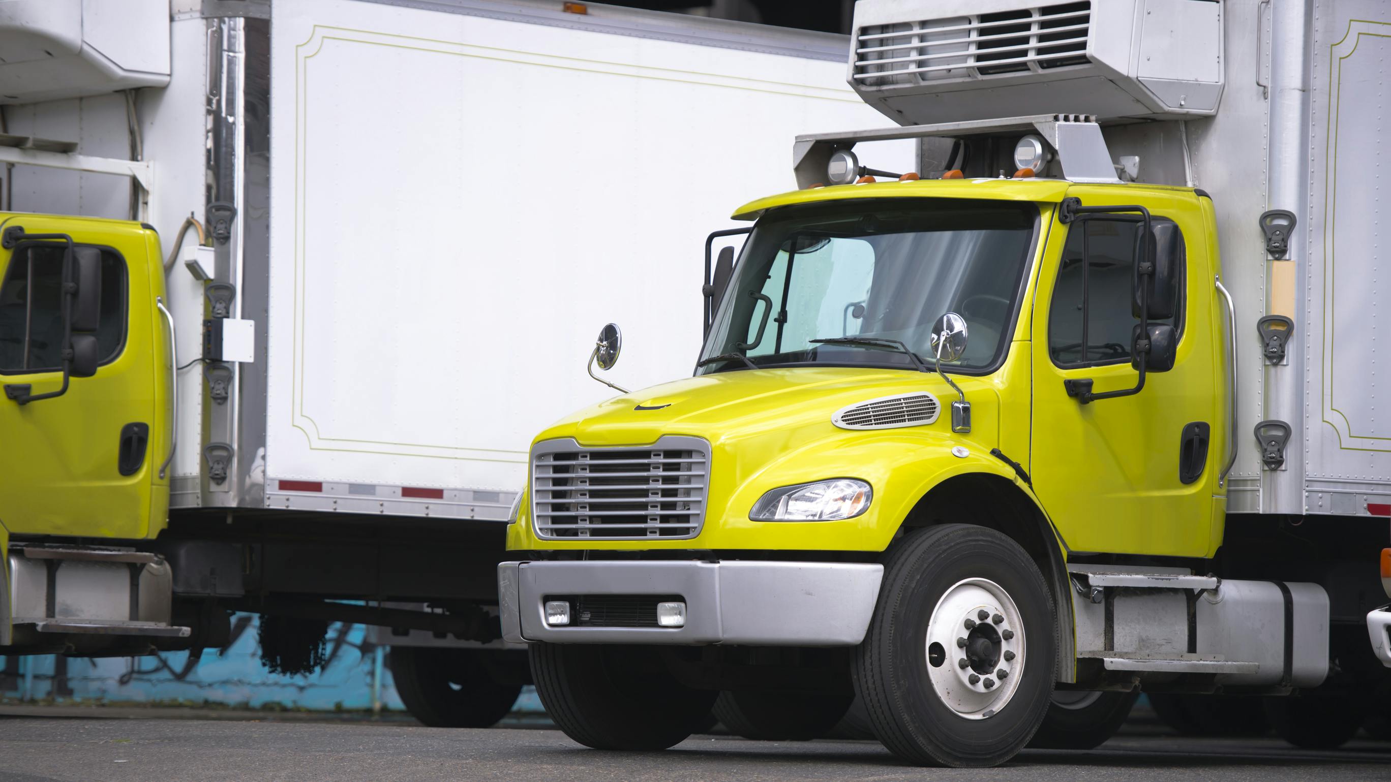 66a3a3b09a82f3670ee90e60 Dreamstime L 115267678