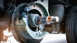 66b52226ae034d7b229d687d Dreamstime L 316085359 66b52226ae034d7b229d687d Dreamstime L 316085359