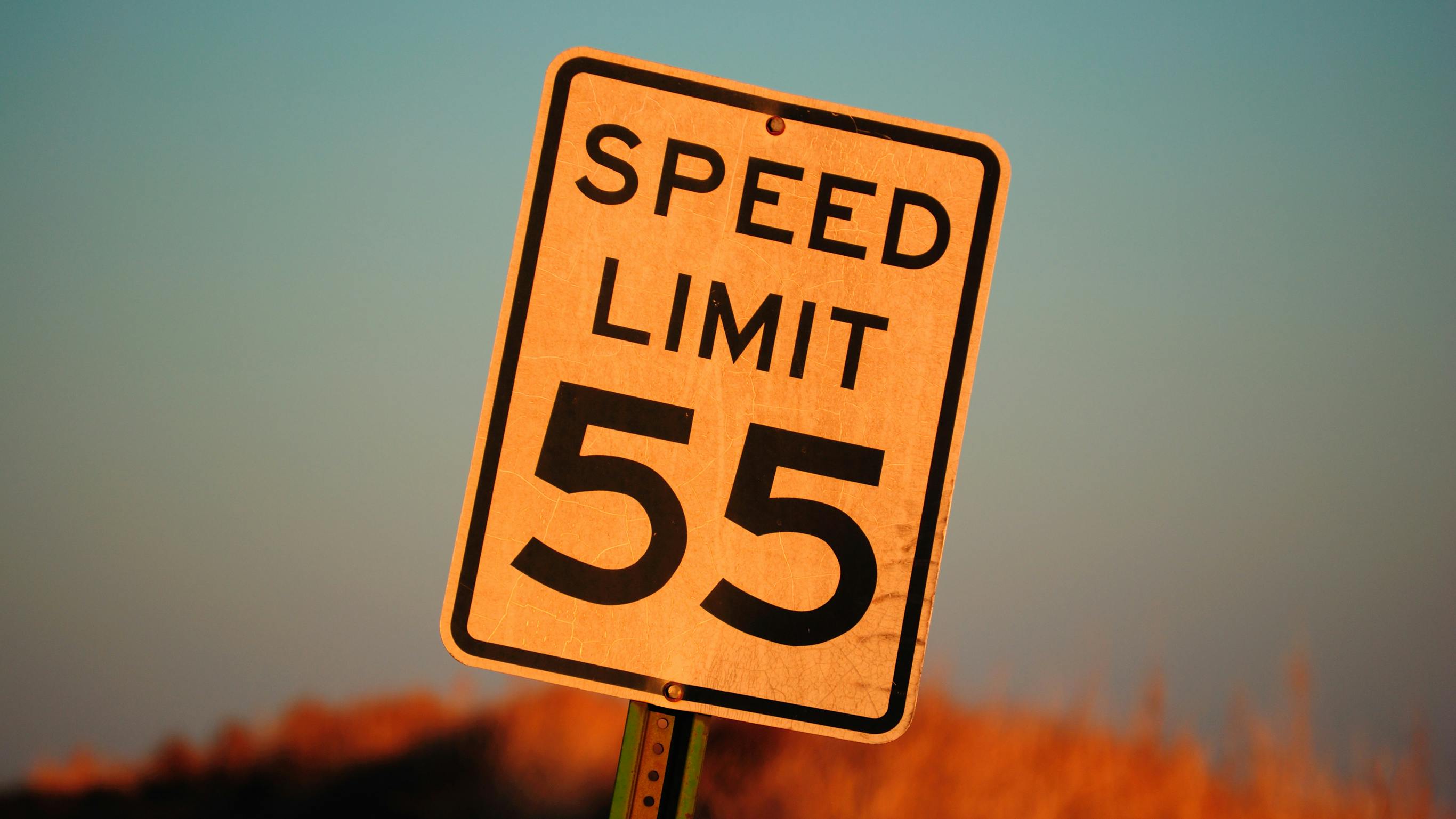 66c88d411cc34345723ceaf3 Dreamstime L 28818701