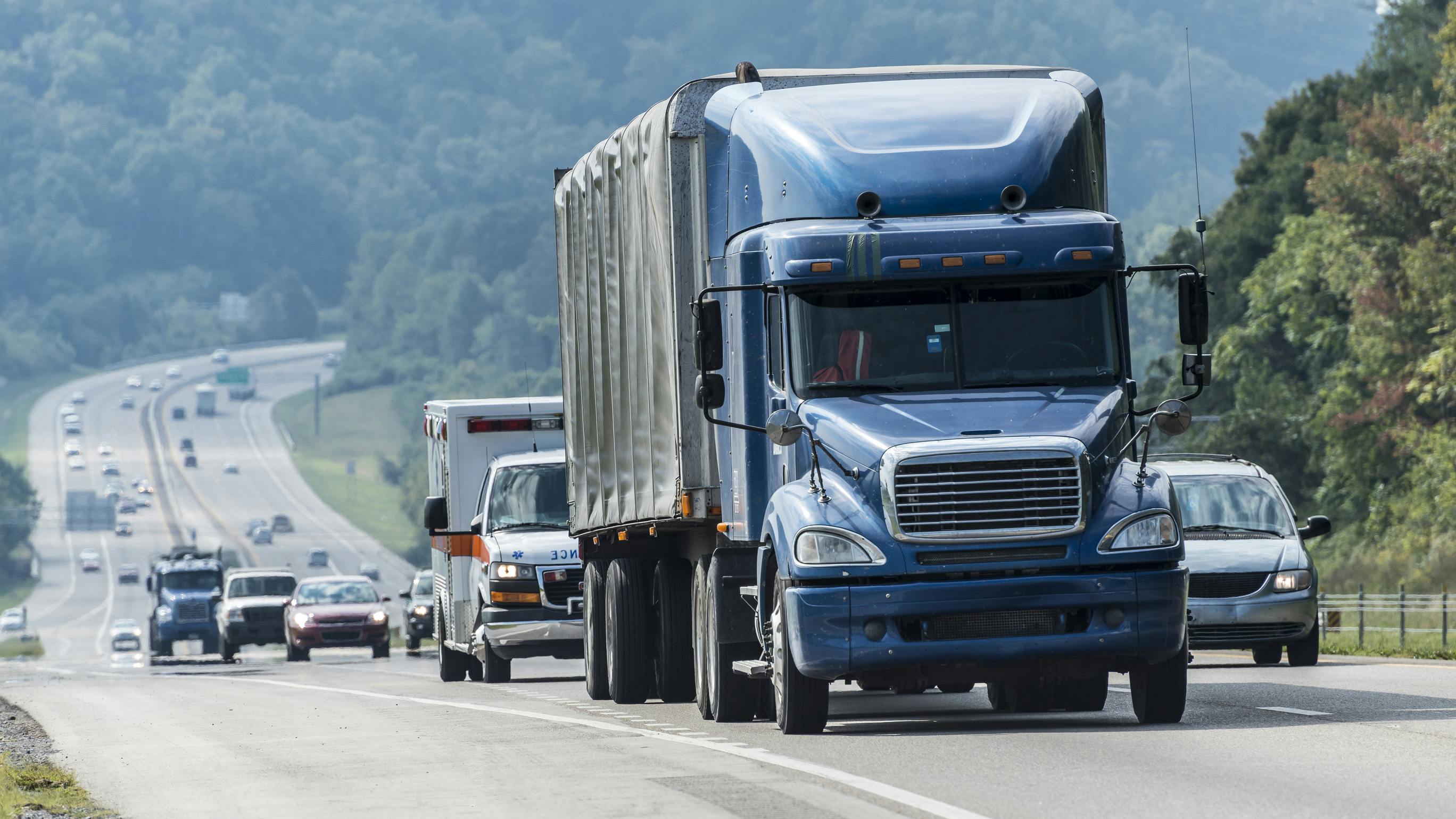 66d06284c77cd827e4015420 Dreamstime L 50442171