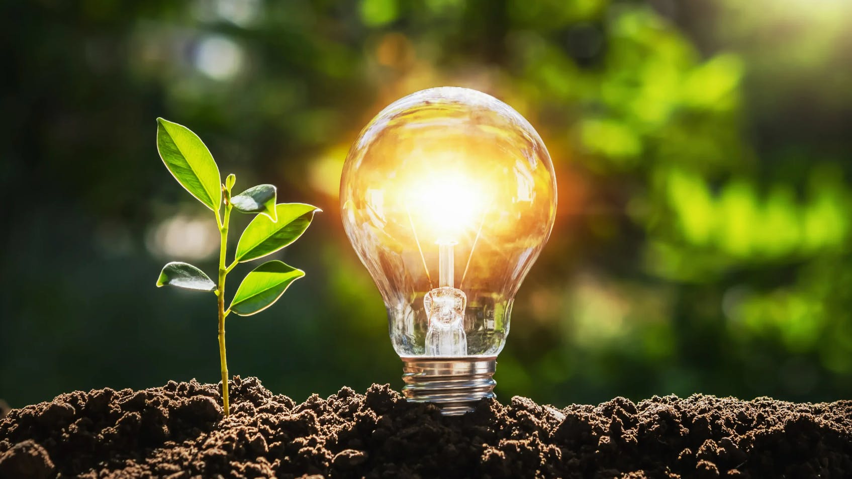 66d1c63819fda05b8ac81b55 490824 Clean Energy Providers Combine For Cool Su