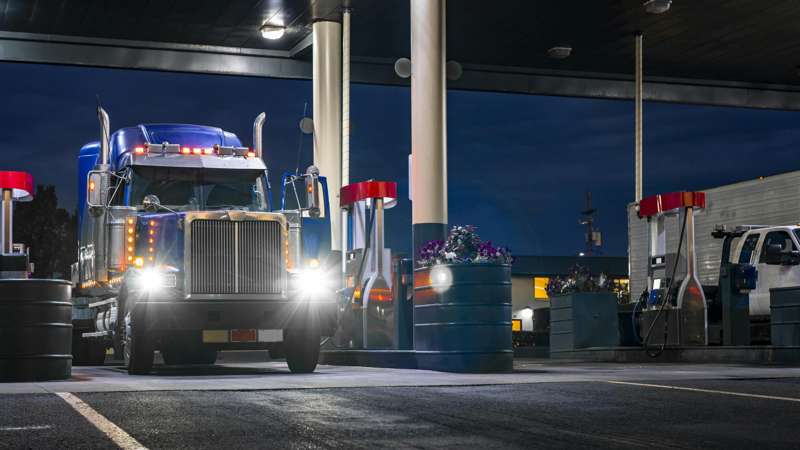 66d1c86567719b49de03f659 Dreamstime L 331752689