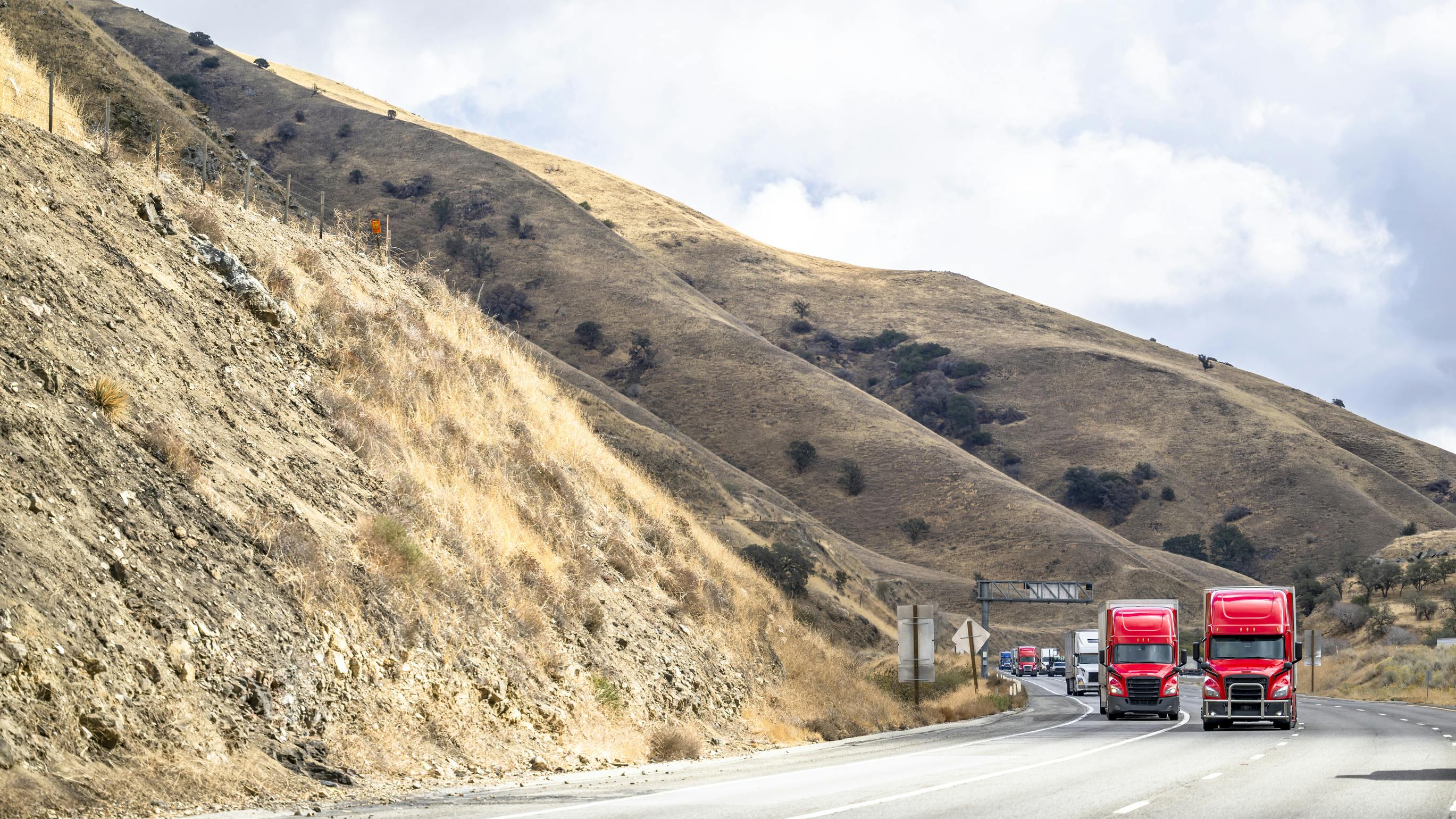 66fac3485015f91a9d6acd56 Dreamstime L 316925876