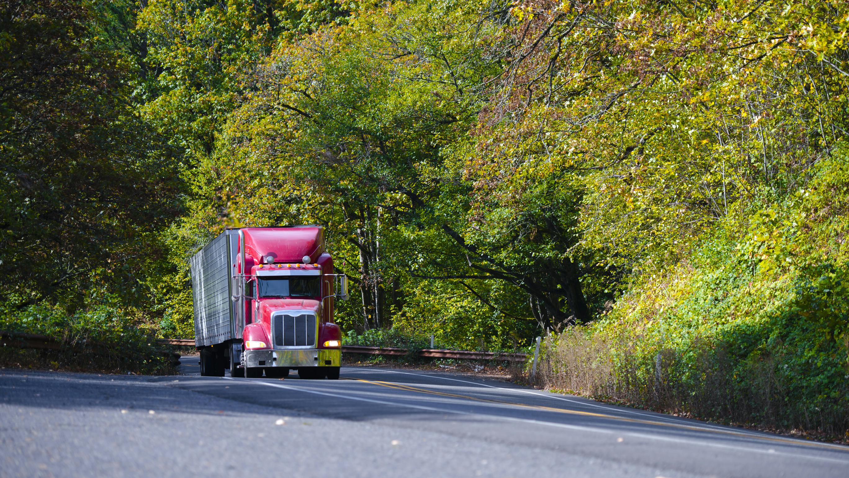 66fac5db9904df14e33bf362 Dreamstime L 65162943