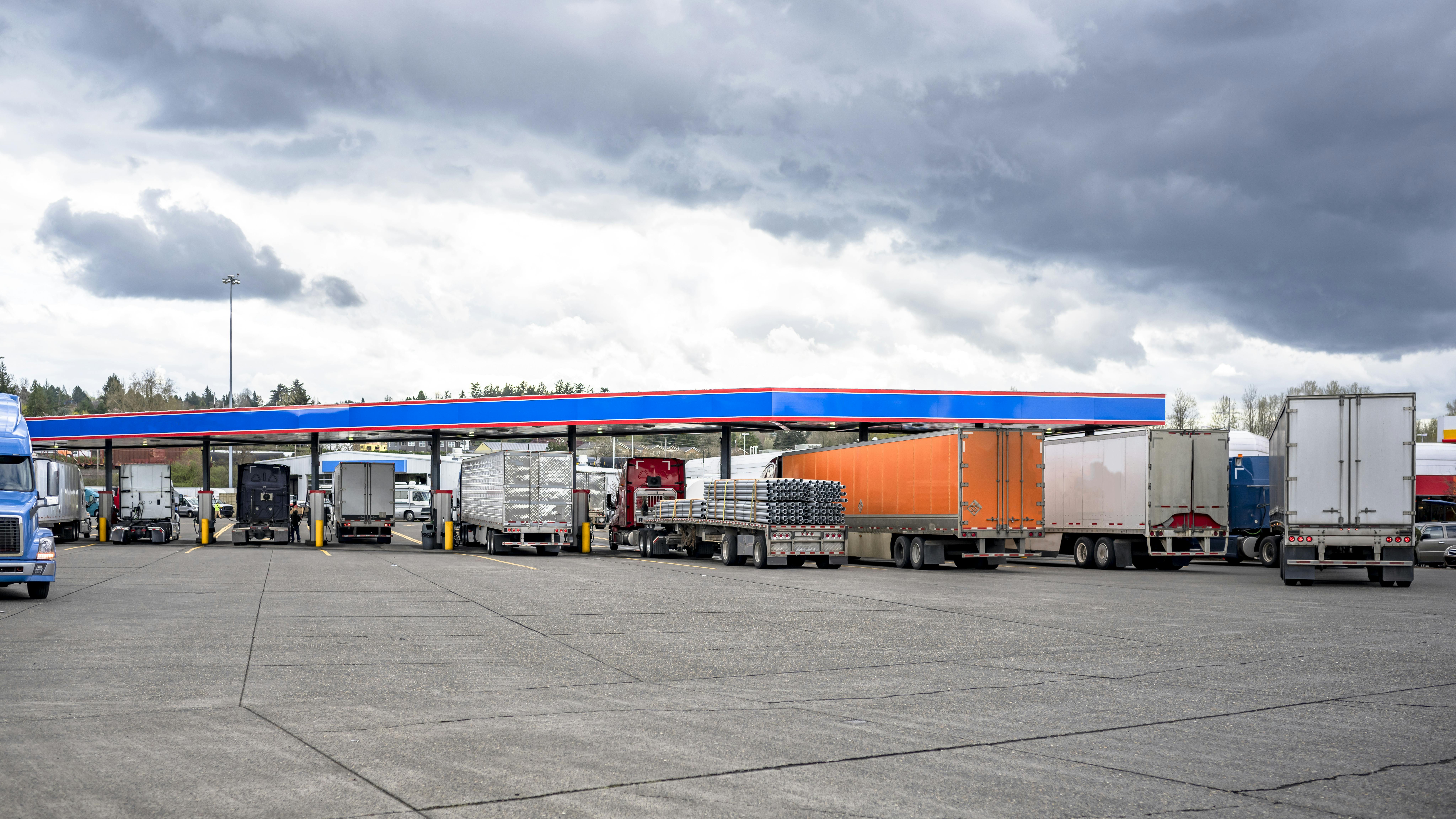 6704738c25fca1ee94c53038 Dreamstime Xxl 316925724