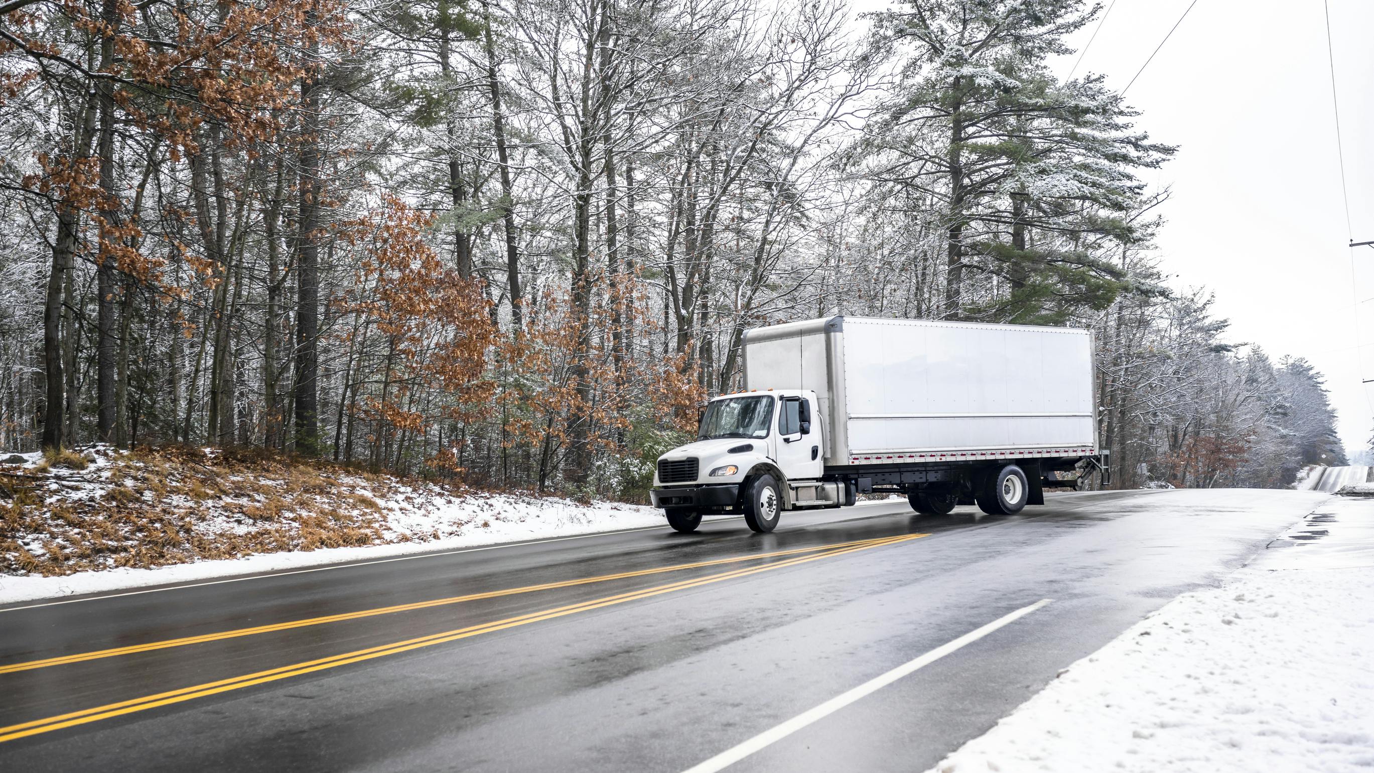 6723c0a3d8e2718472693df6 Dreamstime L 342265415