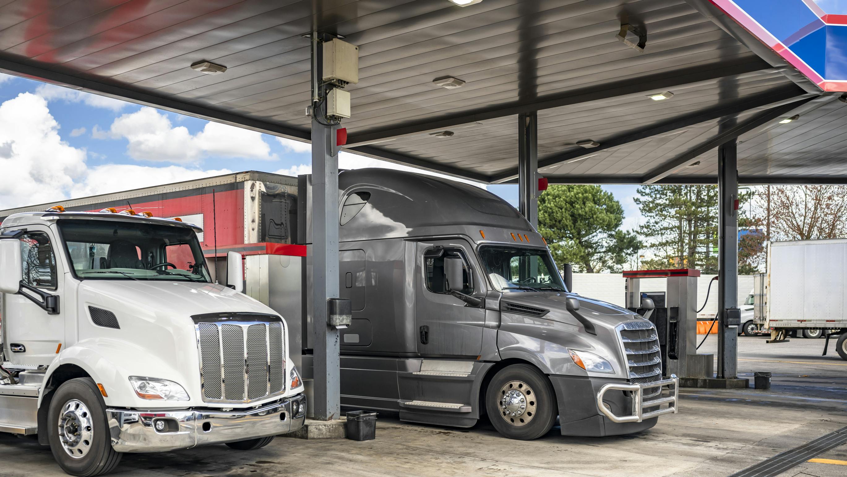 6745d3fa1f6d4c4928b783fa Dreamstime L 245830569 1