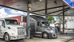 6745d3fa1f6d4c4928b783fa Dreamstime L 245830569 1 6745d3fa1f6d4c4928b783fa Dreamstime L 245830569 1