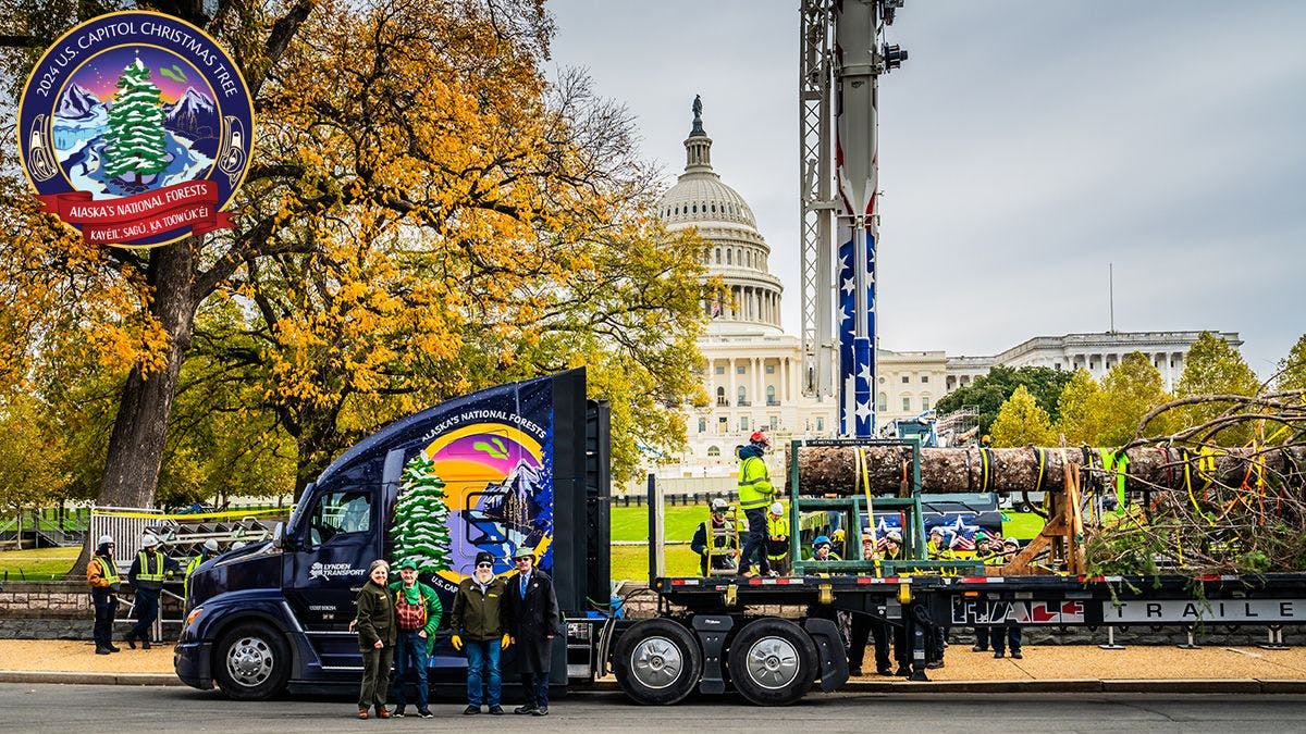 The lighting ceremony will take place on December 3, hosted by the Architect of the Capitol in coordination with the U.S. Speaker of the House.