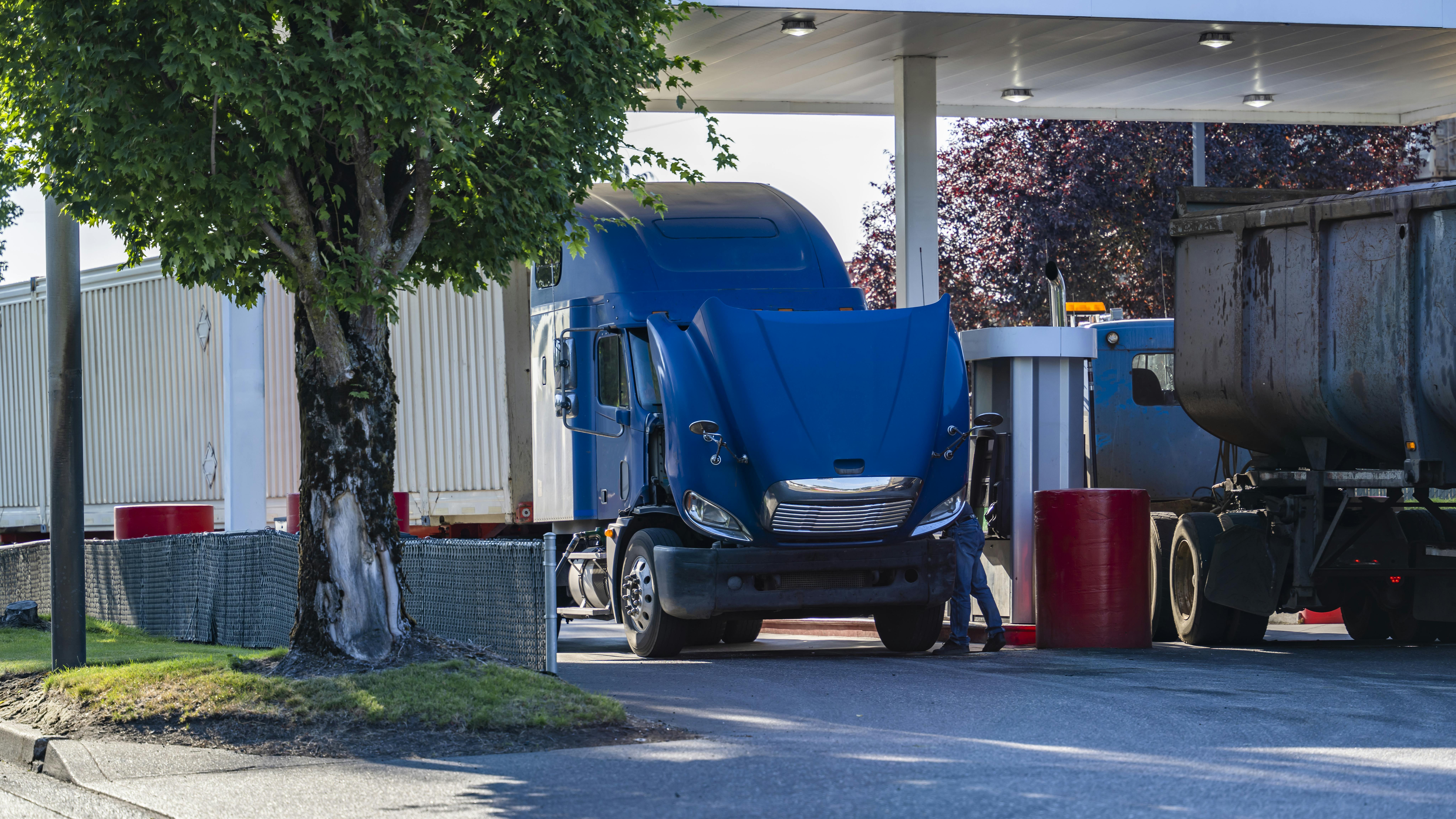 6760be715779e4304353d605 Dreamstime Xxl 331753034