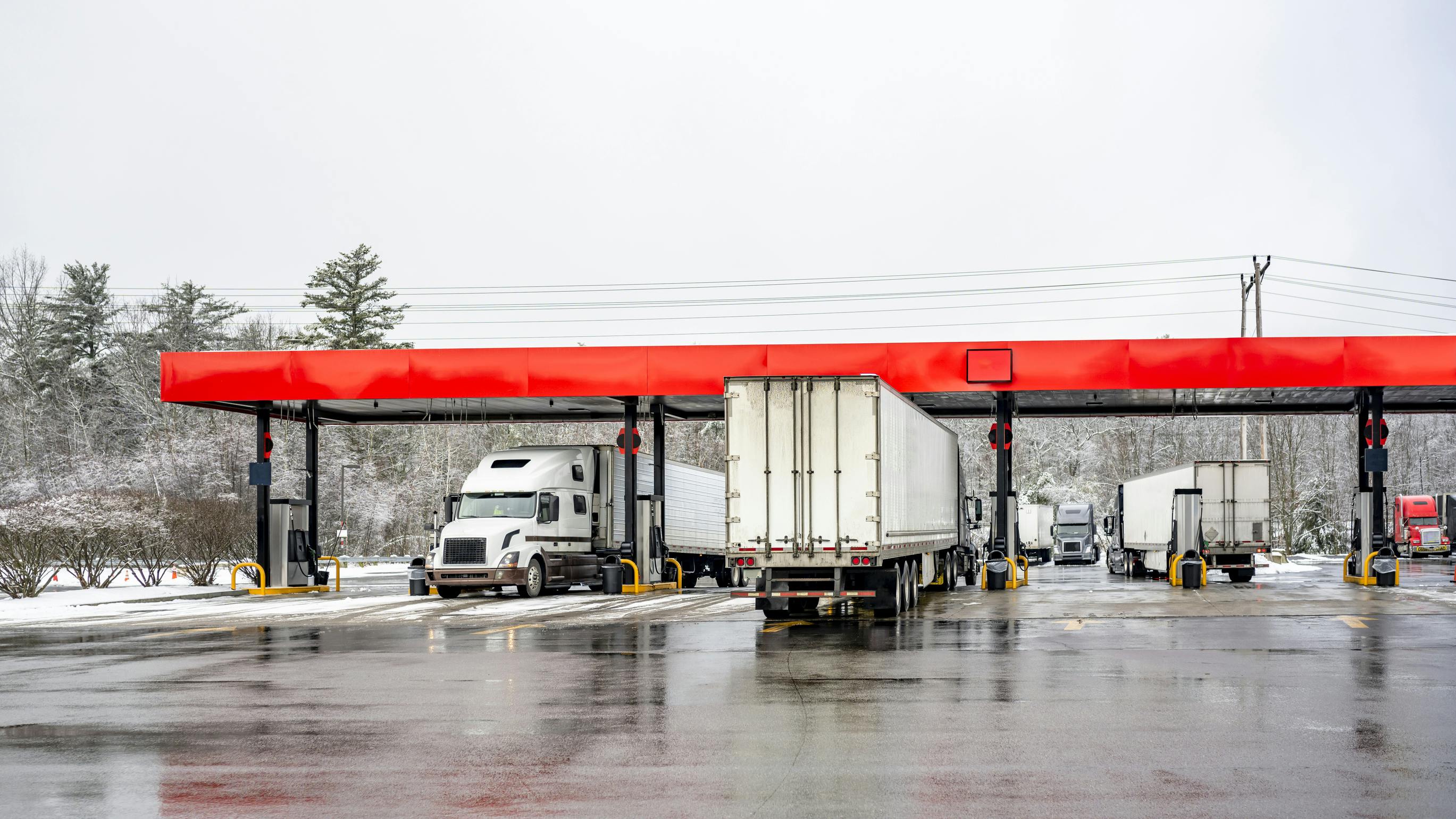 677d32e9fd1af9e5030a9764 Dreamstime L 342265387