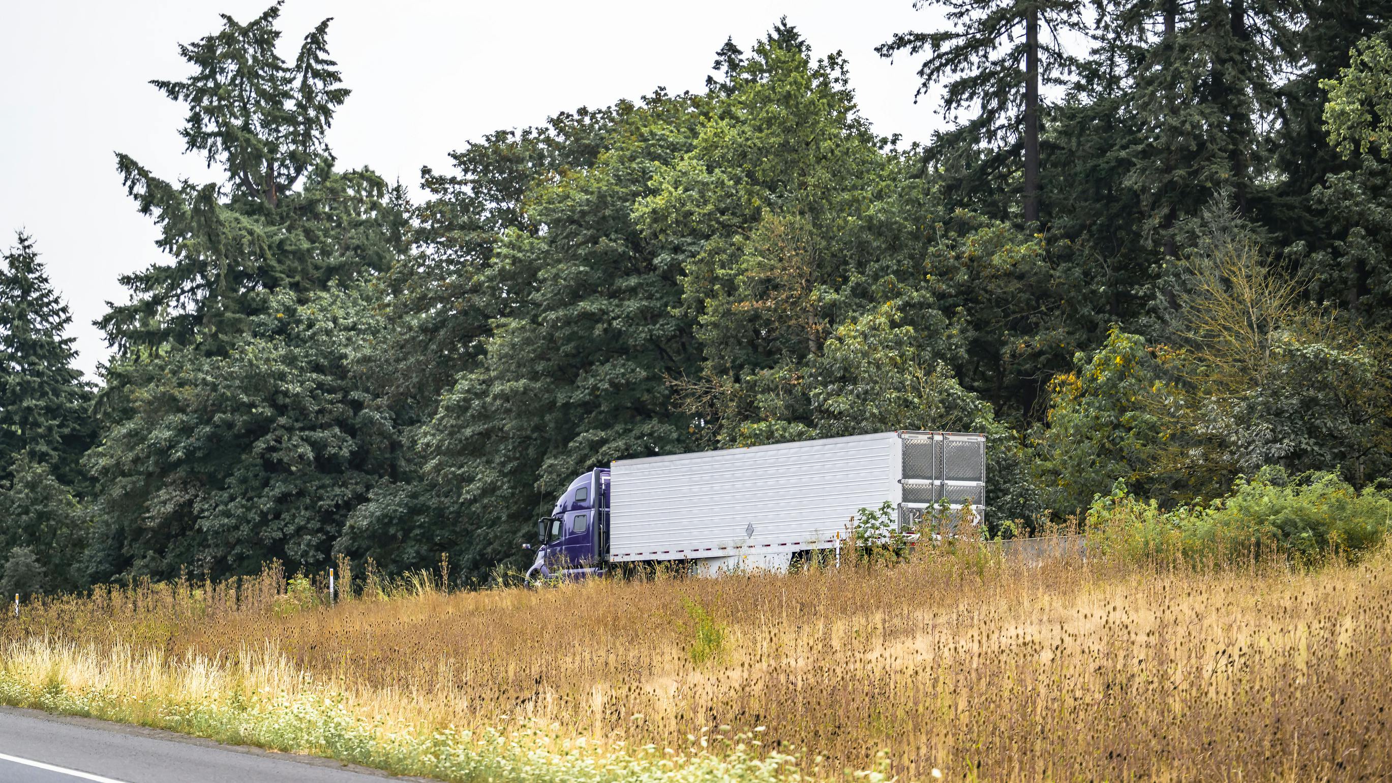 67979512da066b2c66007d8e Dreamstime L 331752909