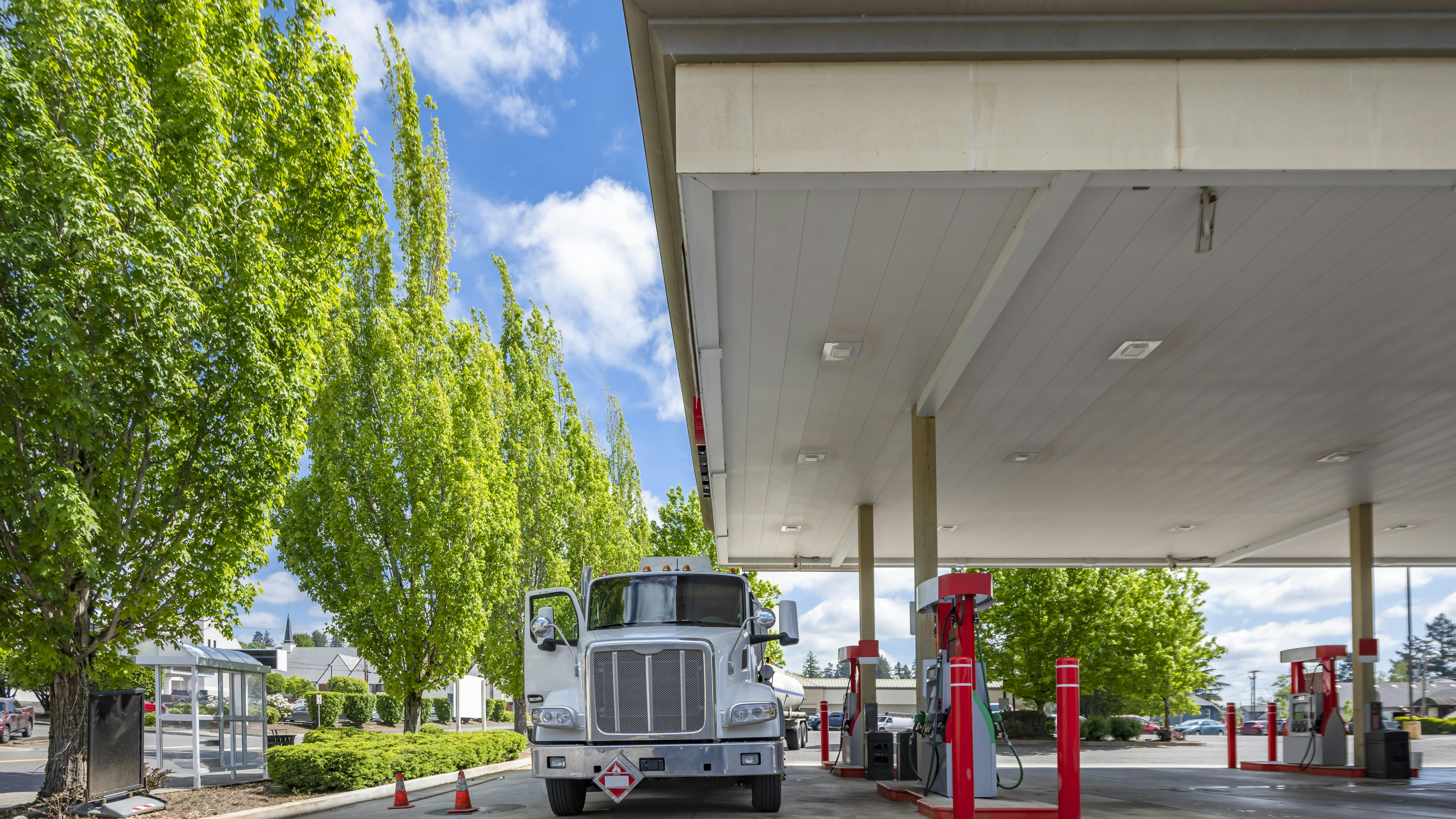 67a1bad9776f5a23ef704cda Dreamstime Xxl 348613859