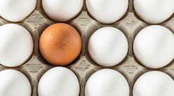 Massive egg heist: 100,000 eggs stolen in Pennsylvania raises questions about cargo theft trends Massive egg heist: 100,000 eggs stolen in Pennsylvania raises questions about cargo theft trends