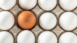 Massive egg heist: 100,000 eggs stolen in Pennsylvania raises questions about cargo theft trends Massive egg heist: 100,000 eggs stolen in Pennsylvania raises questions about cargo theft trends