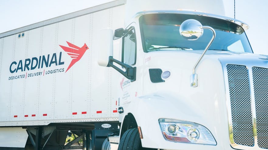 67d1e6181d949cc4d6800791 R Cardinal 1