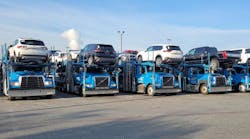 pal_brothers pal_brothers