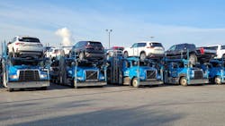 67edb6f528a00a09ee949edd Pal Brothers 67edb6f528a00a09ee949edd Pal Brothers