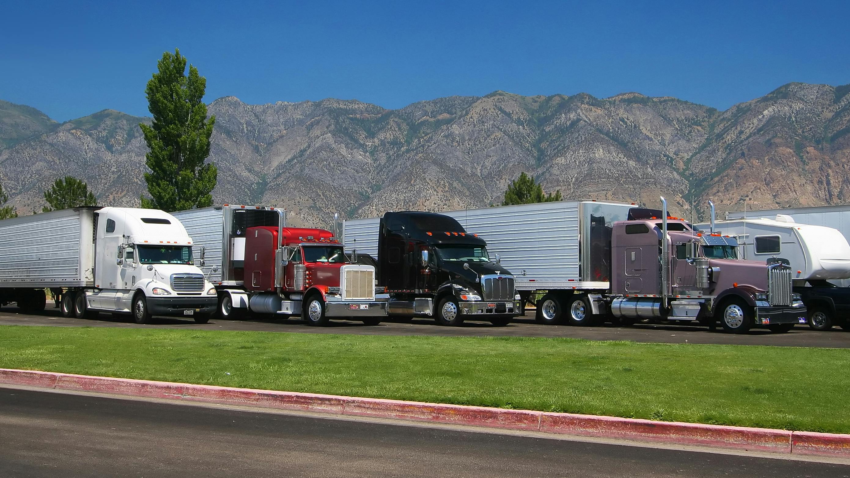 Navigating fleet management: Why a strategic 5-year procurement plan is essential for future success