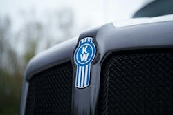 blue hood ornament blue hood ornament