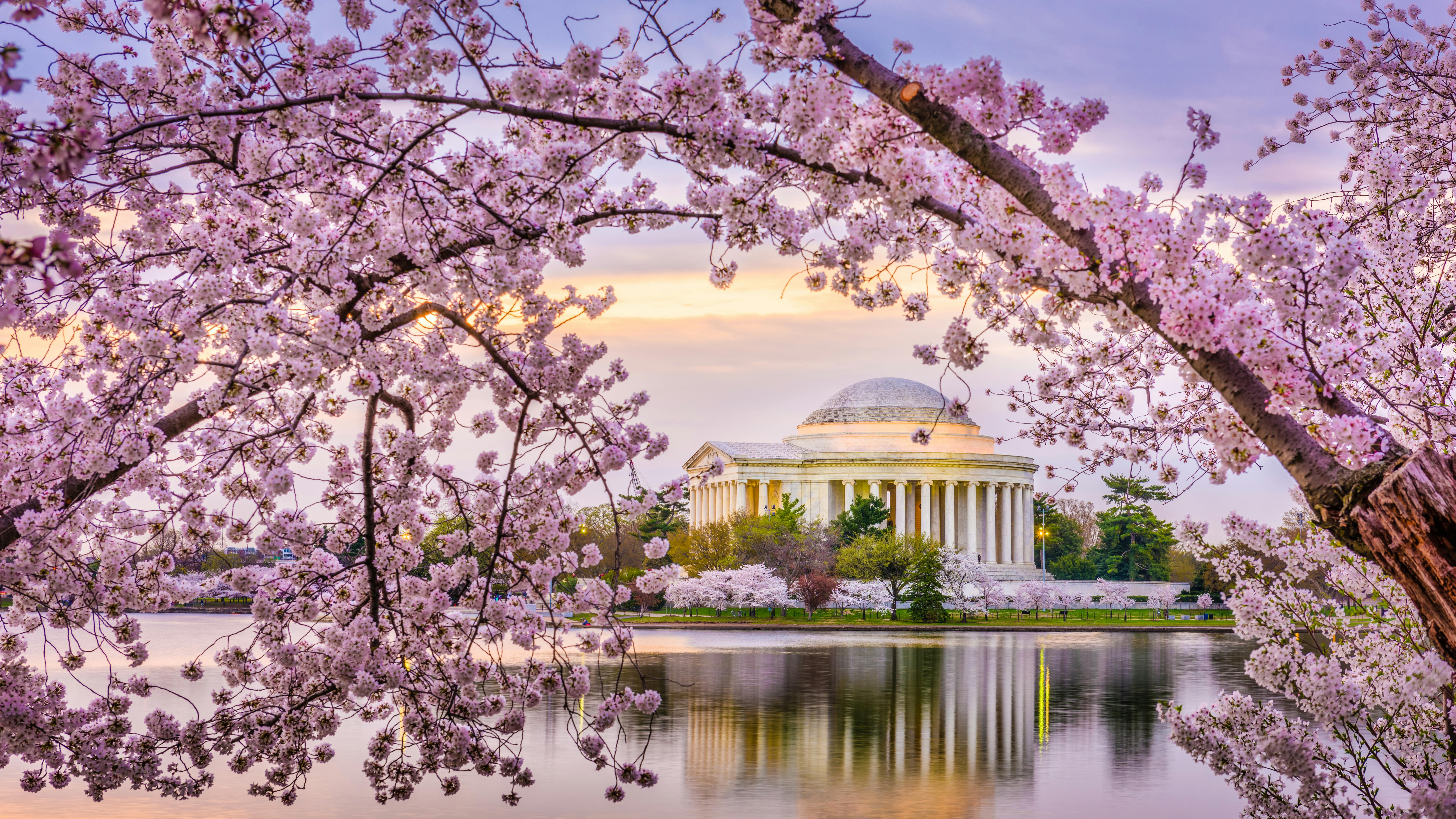 Enhancing highway safety: Key innovations and regulatory changes in the trucking industry