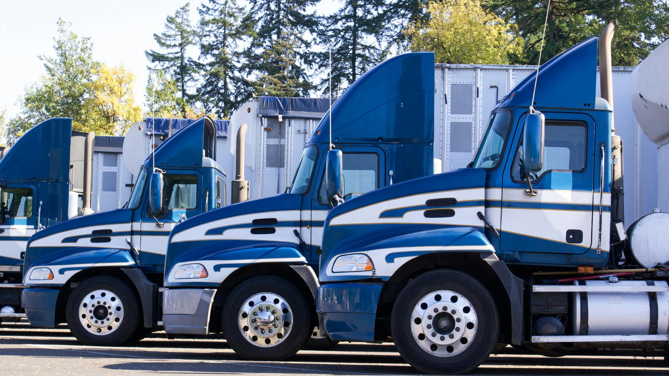 683f0df7bbfe67f77b7ab6ec Dreamstime L 71105812