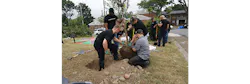As a result of this year’s customer downloads, BSRO is donating $57,500 to plant 86,825 seedlings, the equivalent of over 287 acres of trees, in the Mississippi River Delta region to reforest flood-prone areas and protect at-risk farmland. As a result of this year’s customer downloads, BSRO is donating $57,500 to plant 86,825 seedlings, the equivalent of over 287 acres of trees, in the Mississippi River Delta region to reforest flood-prone areas and protect at-risk farmland.