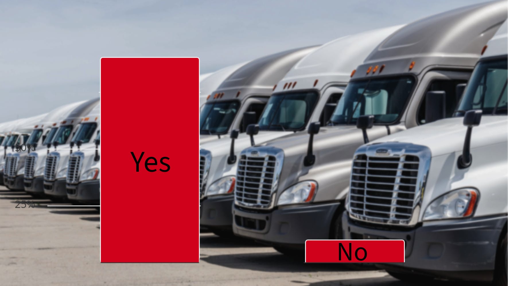 English language proficiency support