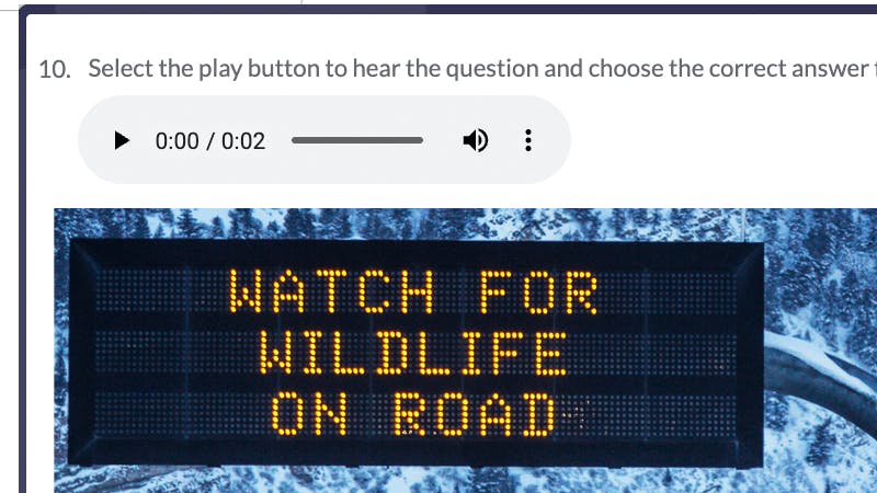 English proficiency assessment