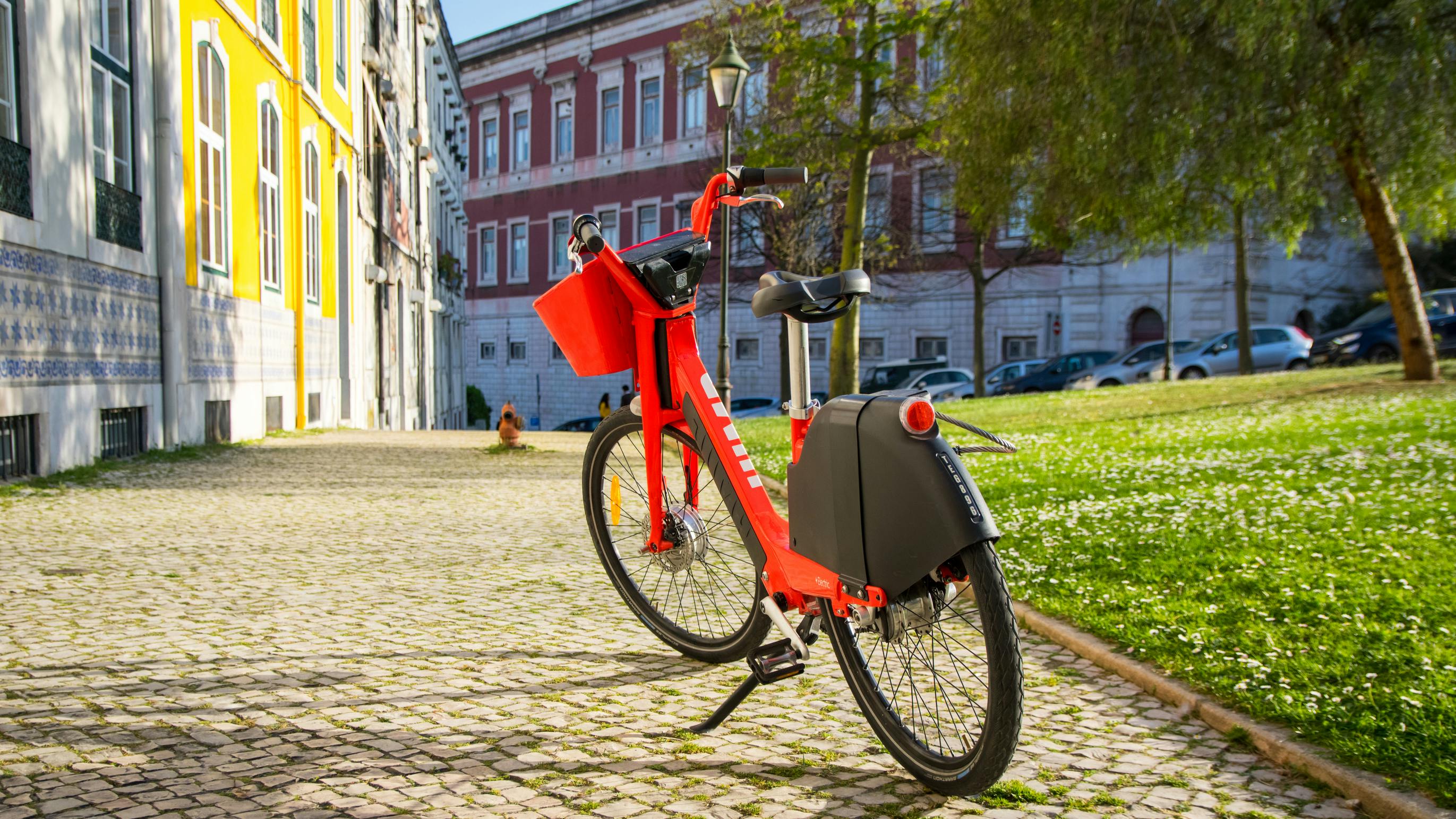 687530602798b77ab8b573ae Dreamstime L 176951365