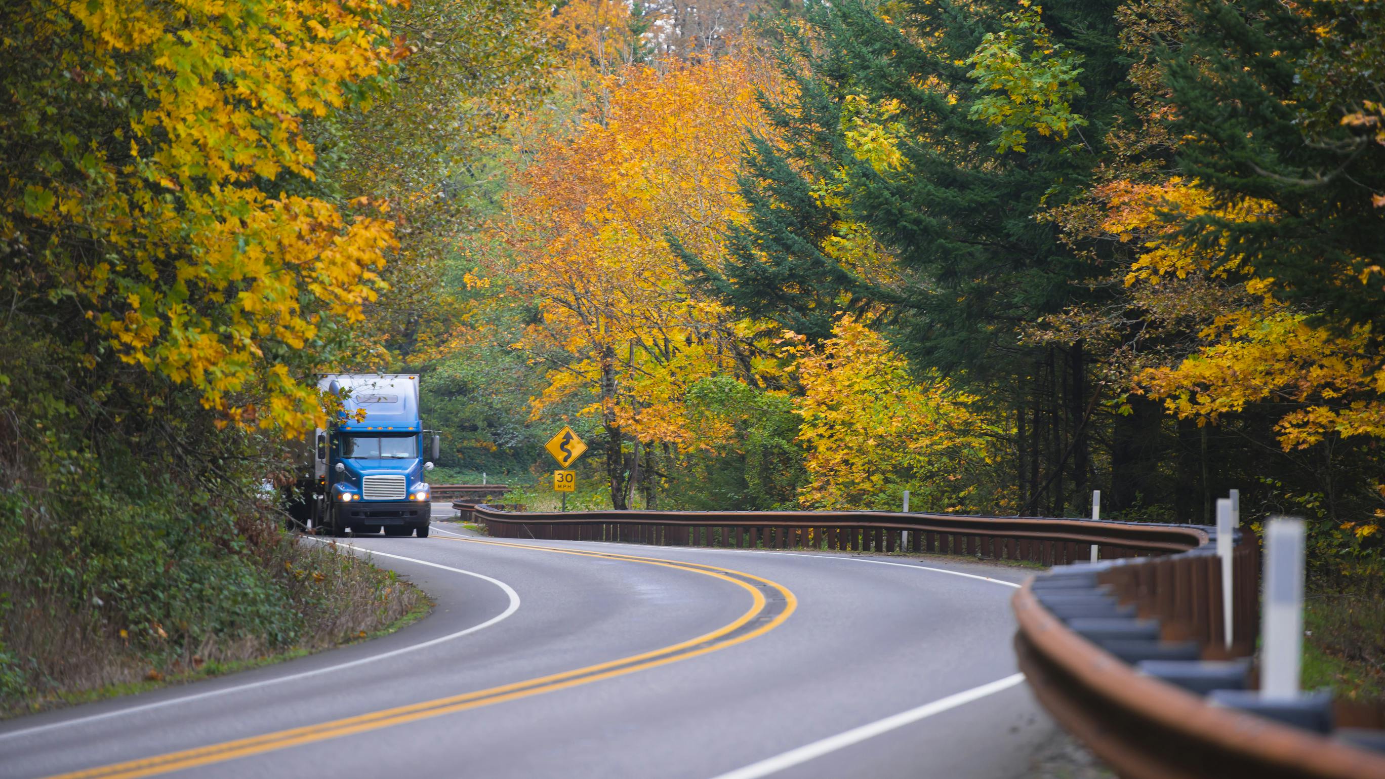 687e7136ded655eb366184f6 Dreamstime L 49976267