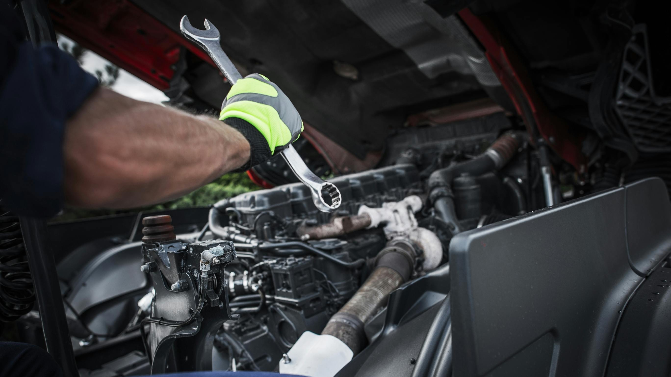 6890a49b2f60549ffca42978 Dreamstime L 128379356