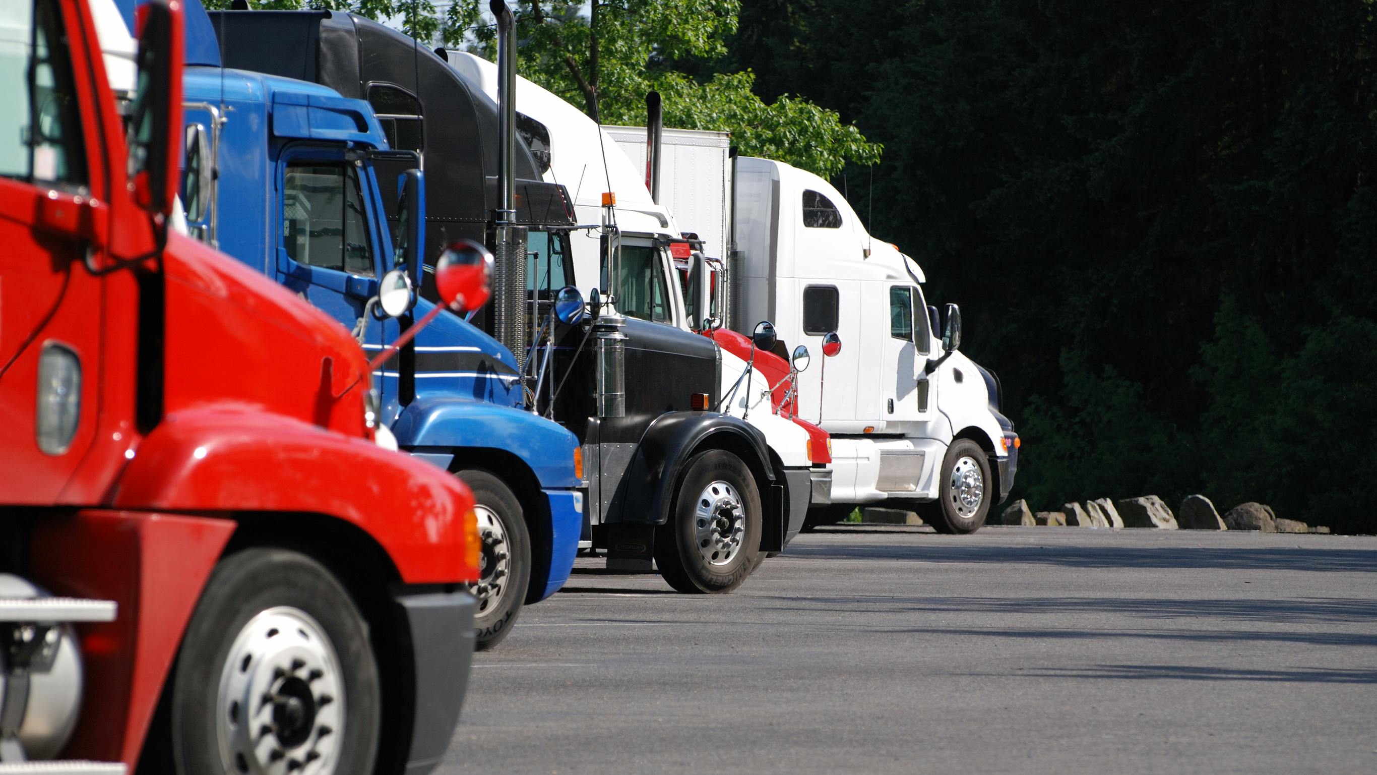 6897867b0c47763f603cfd7b Dreamstime L 5122280 1