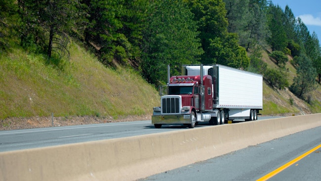 Staples Vegetables forms partnership with Solum Partners to enhance cold chain and energy operations