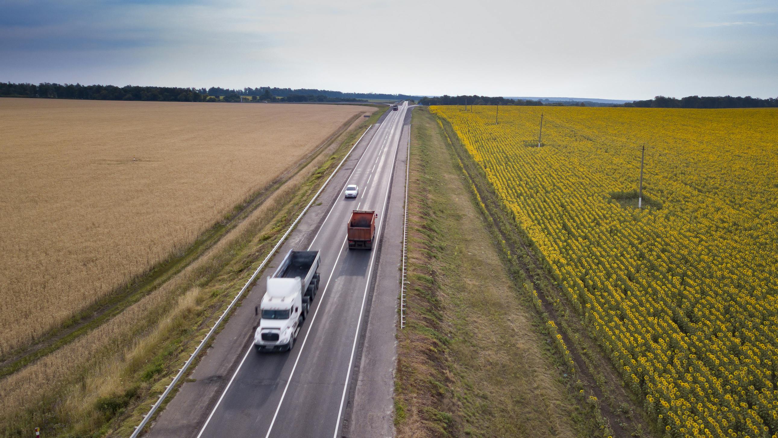 How AI is transforming transportation: boosting efficiency and optimizing fleet operations