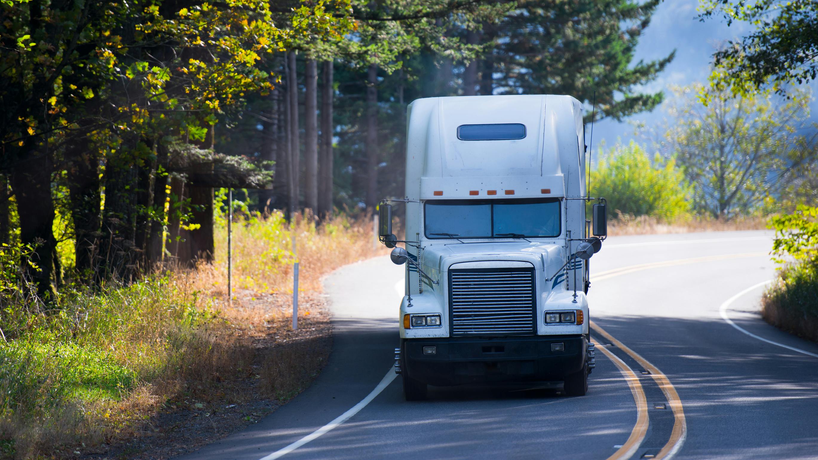 Key leadership skills for success in fleet management